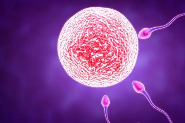 黄体功能不全会导致空卵泡