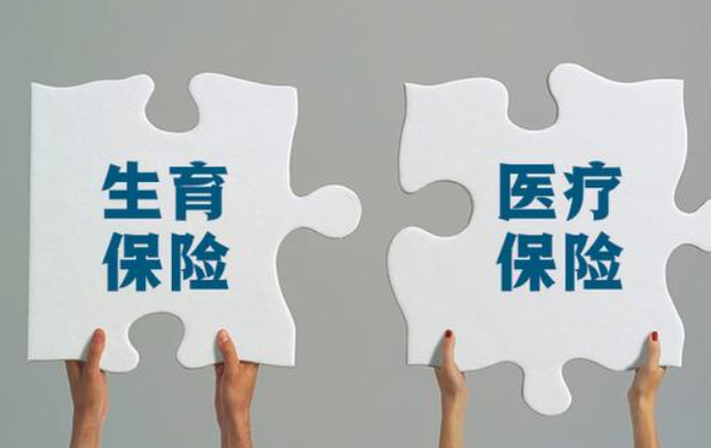 生育保险是一种社会保险