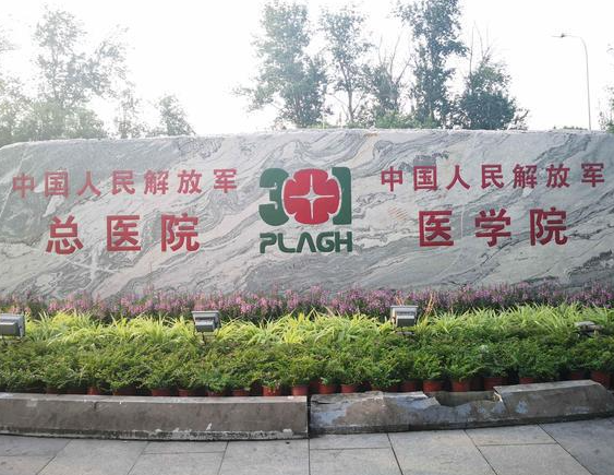 301医院做试管技术好