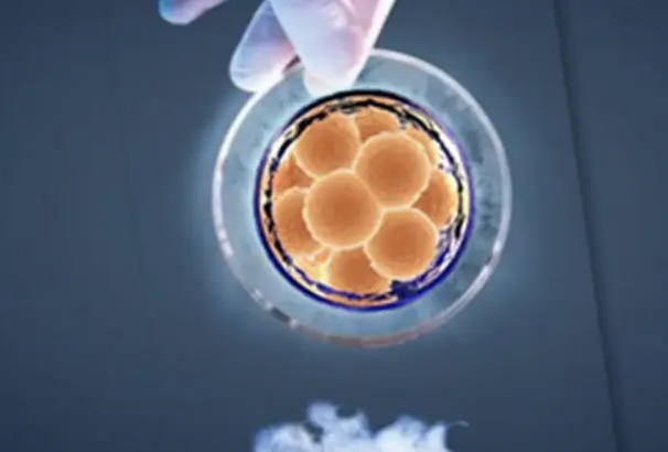 移植多个胚胎会风险