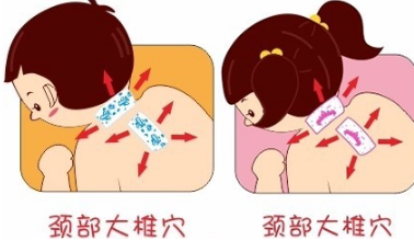 颈部可以散发药效