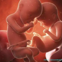 福州妇幼保健院做试管婴儿好吗？试管成功率高不高？
