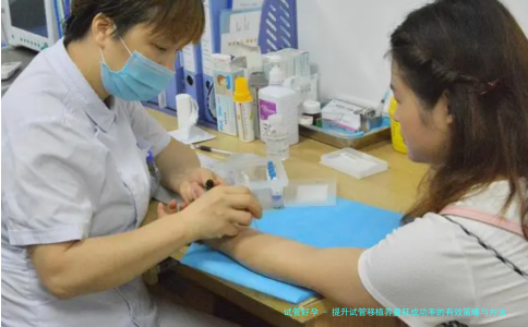 提升试管移植养囊胚成功率的有效策略与方法
