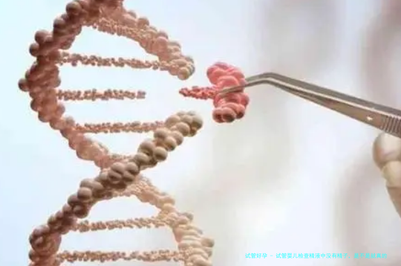 试管婴儿检查精液中没有精子，是不是就真的没有精子了？