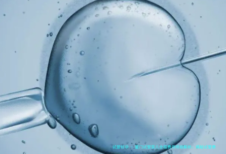 厦门试管婴儿全程费用明细解析：揭秘试管费用内幕！费用概述至试管完成