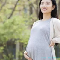 皇家生殖试管治疗如何优化每个治疗周期？试管成功率高的及费用