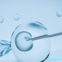 枣庄市妇幼保健院的试管婴儿技术如何？枣庄市妇幼保健院试管婴儿费用明细？