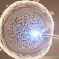 贵州试管婴儿费用多少？贵阳三代试管婴儿费用明细解析