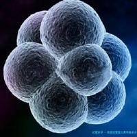 泰国试管婴儿费用是多少？曼谷试管技术成功率如何？