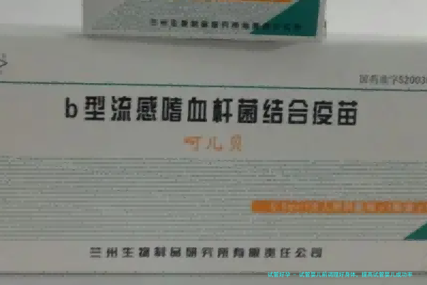 试管婴儿前调理好身体，提高试管婴儿成功率
