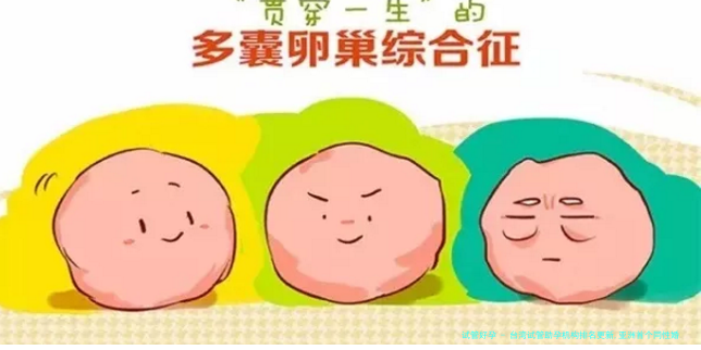 台湾试管助孕机构排名更新,亚洲首个同性婚姻合法化地区择院攻略!