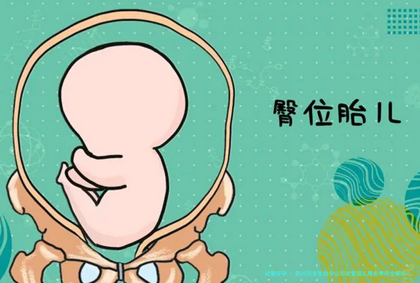 四川贝多生助孕公司试管婴儿服务费用全解析：近年数据与趋势分析