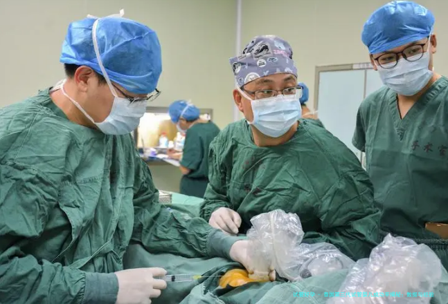 泰国第三代试管婴儿成功率揭秘：数据与经验分享