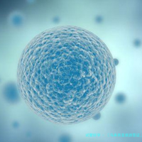 〖马来西亚旅游签证_2024马来西亚签证申请攻略,旅游、留学、工作办理流程看完...〗