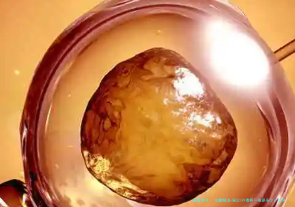 专题报道-保定IVF费用一般是多少？助孕机构大盘点,三大助孕公司对比