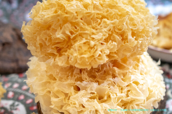 太原做三代试管的医院有吗？太原公立三代试管医院推荐