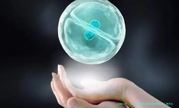 2026年襄阳单身能否做试管婴儿？费用全攻略