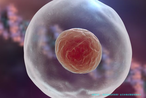 保存胚胎如何转移？去日本做试管能转到吉尔吉斯斯坦移植吗？