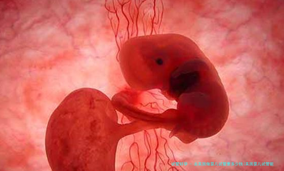 去美国做婴儿试管要多少钱(美国婴儿试管能费用)