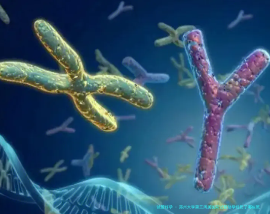 郑州大学第三所属医院试管助孕经历了哪些流程？该医院做试管助孕费用贵吗？