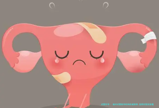 福州试管助孕机构权威推荐,选择好医院就看这里