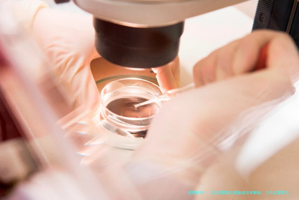 三代试管婴儿胚胎成功率解析，三代试管婴儿胚胎技术，您了解吗？