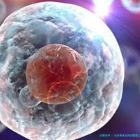 北京单身女性试管婴儿医院排名与2026年费用详情解析：北京大学第三医院生殖中心等机构全攻略