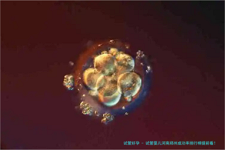 试管婴儿河南郑州成功率排行榜提前看！
