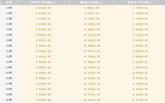 不同孕周胎儿头围不同