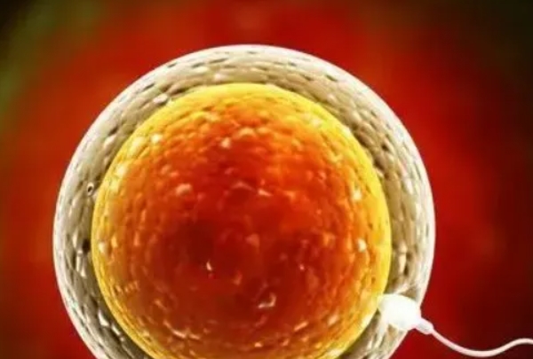 乌克兰是试管热门国家