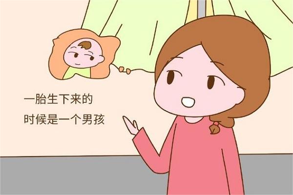 上一胎的特征无法预知下一胎男女