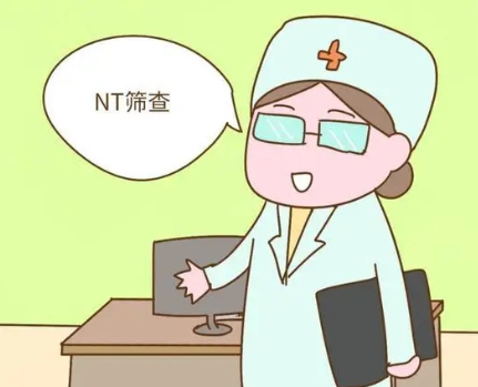 nt值与胎儿男女无关