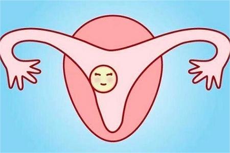 子宫内膜厚度与优势卵泡没有关系