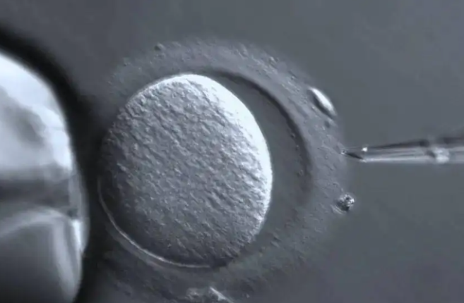 促排卵需要长期使用激素类药物