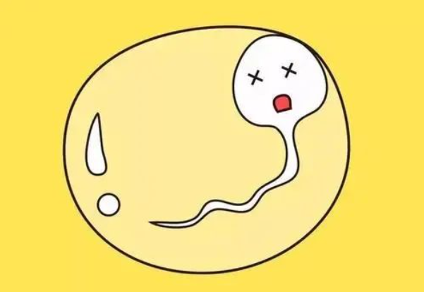 精子异常会导致男性不育
