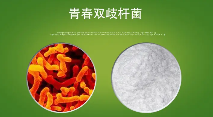 双歧杆菌符合国家标准