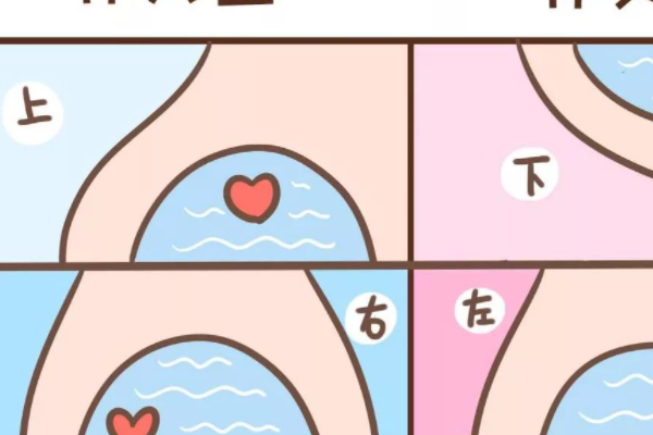 胎动看男女不完全准确