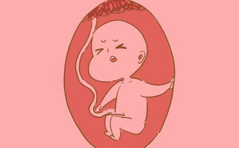 胎儿打嗝是胎动的一种