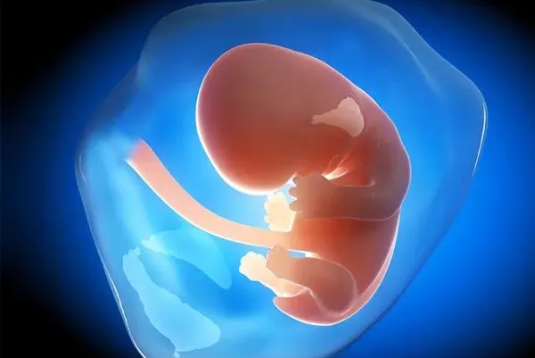 肱骨长股骨长看男女不准确