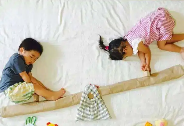 双生子指的是一对双胞胎
