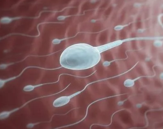 o型血男性精子结构完整