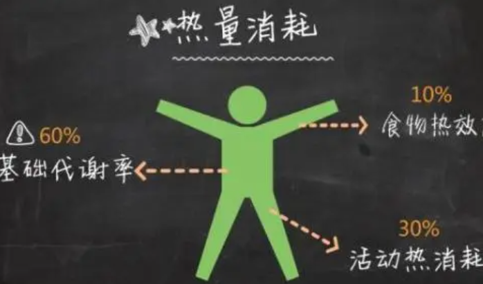 男女基础代谢率不同