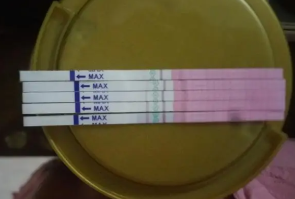 排卵试纸可以检测排卵期