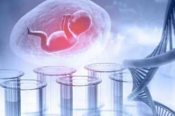 医学规定不可以直接做精子试管