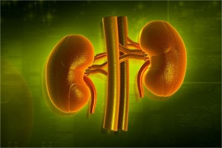 肌酐高的人要注意饮食健康