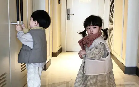 双生子代表吉祥和美好