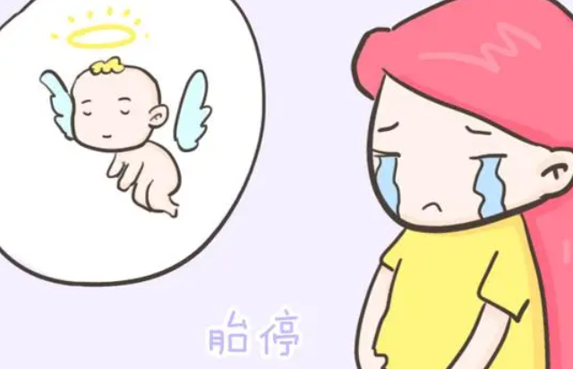 胎停通常是指胚胎停育