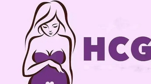 HCG是一种妊娠激素