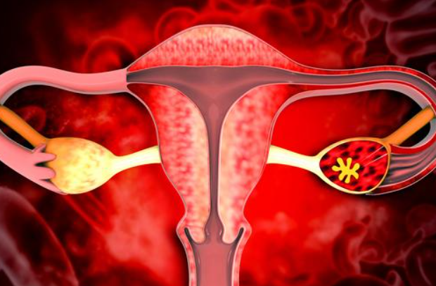 进周期间要避免同房