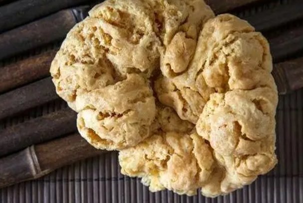 紫河车可以补气补血